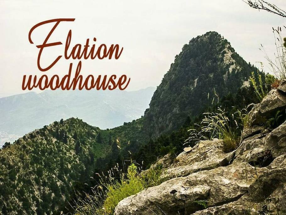 Elation Woodhouse Apartment Luaran gambar